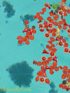 ArooniArt Composition Photography 10