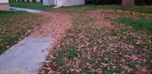 ArooniArt Composition Photography 107