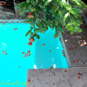 ArooniArt Composition Photography 11