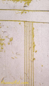 ArooniArt Composition Photography 116