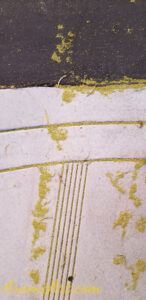 ArooniArt Composition Photography 117