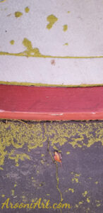 ArooniArt Composition Photography 118