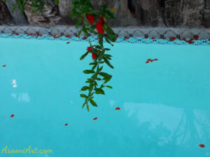 ArooniArt Composition Photography 12