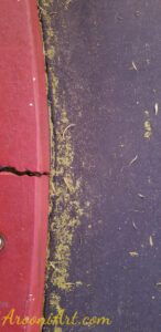 ArooniArt Composition Photography 122