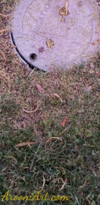 ArooniArt Composition Photography 123