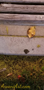 ArooniArt Composition Photography 125