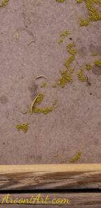 ArooniArt Composition Photography 127