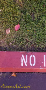 ArooniArt Composition Photography 130