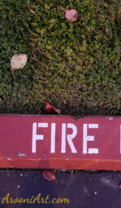 ArooniArt Composition Photography 131