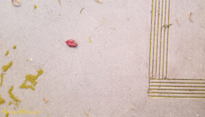 ArooniArt Composition Photography 134