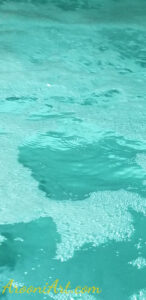 ArooniArt Composition Photography 135