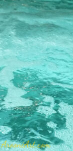 ArooniArt Composition Photography 137