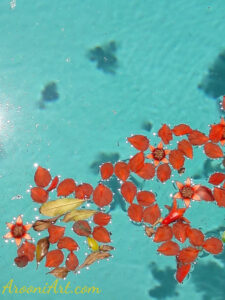 ArooniArt Composition Photography 14