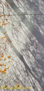 ArooniArt Composition Photography 140