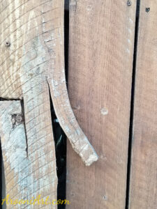 ArooniArt Composition Photography 145