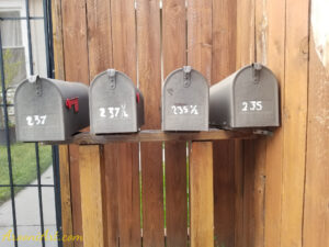 ArooniArt Composition Photography 146