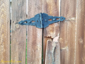 ArooniArt Composition Photography 147