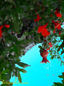 ArooniArt Composition Photography 15