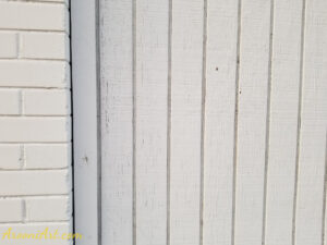 ArooniArt Composition Photography 151