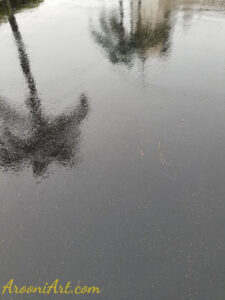 ArooniArt Composition Photography 157