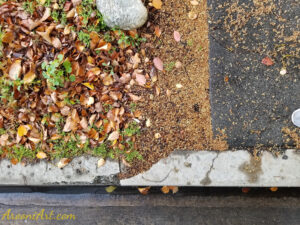 ArooniArt Composition Photography 164