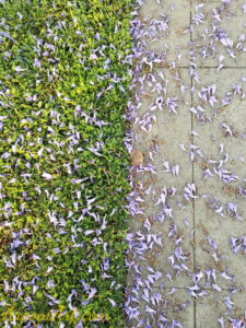 ArooniArt Composition Photography 174