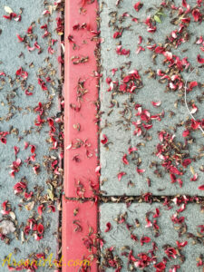 ArooniArt Composition Photography 180