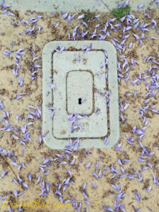 ArooniArt Composition Photography 183