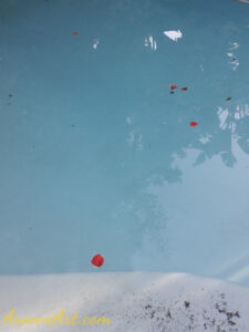 ArooniArt Composition Photography 19