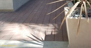 ArooniArt Composition Photography 192