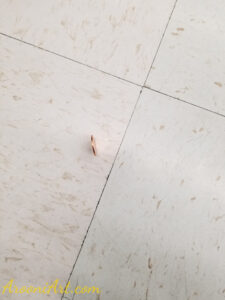 ArooniArt Composition Photography 195