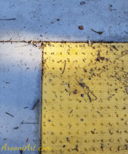 ArooniArt Composition Photography 197