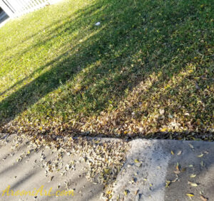 ArooniArt Composition Photography 198