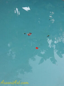 ArooniArt Composition Photography 20