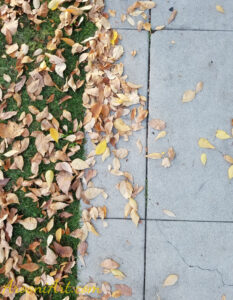 ArooniArt Composition Photography 202