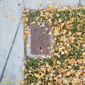 ArooniArt Composition Photography 204