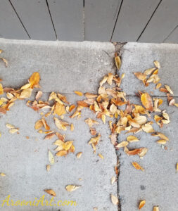 ArooniArt Composition Photography 207