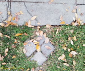 ArooniArt Composition Photography 210