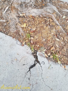 ArooniArt Composition Photography 212