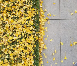 ArooniArt Composition Photography 214