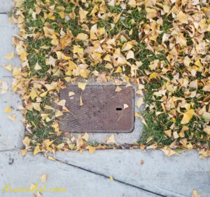 ArooniArt Composition Photography 215