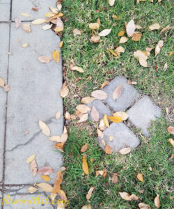 ArooniArt Composition Photography 218