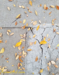 ArooniArt Composition Photography 219