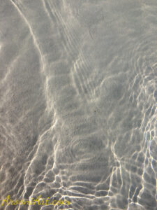 ArooniArt Composition Photography 220