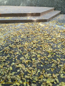 ArooniArt Composition Photography 223