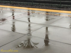 ArooniArt Composition Photography 225