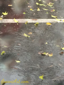 ArooniArt Composition Photography 228