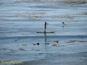 ArooniArt Composition Photography 230