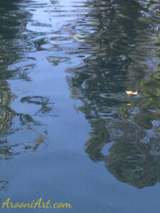 ArooniArt Composition Photography 236