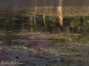 ArooniArt Composition Photography 238